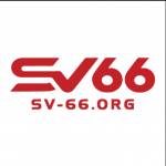 sv66or1 Profile Picture