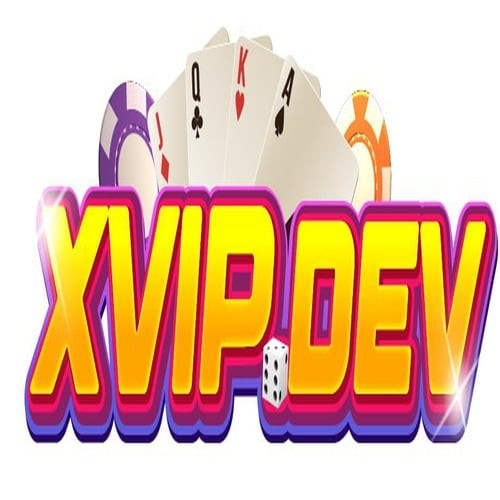 xvipdev Profile Picture