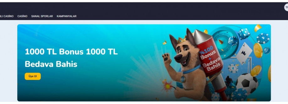rexbetgiriscom Cover Image