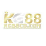 fhmifat99 profile picture