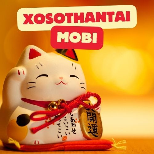 Kết quả xổ số miền Bắc trực tiếp nhanh nhất Profile Picture