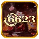 6623 vnshop Profile Picture