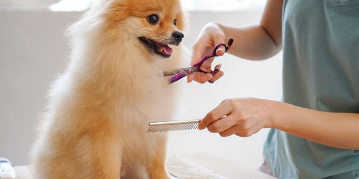 Understanding the Shifts in the Pet Grooming Products Market: Emerging Trends and Market Dynamics