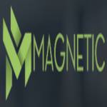 MagneticControl Profile Picture