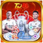 Td88 Contact Profile Picture