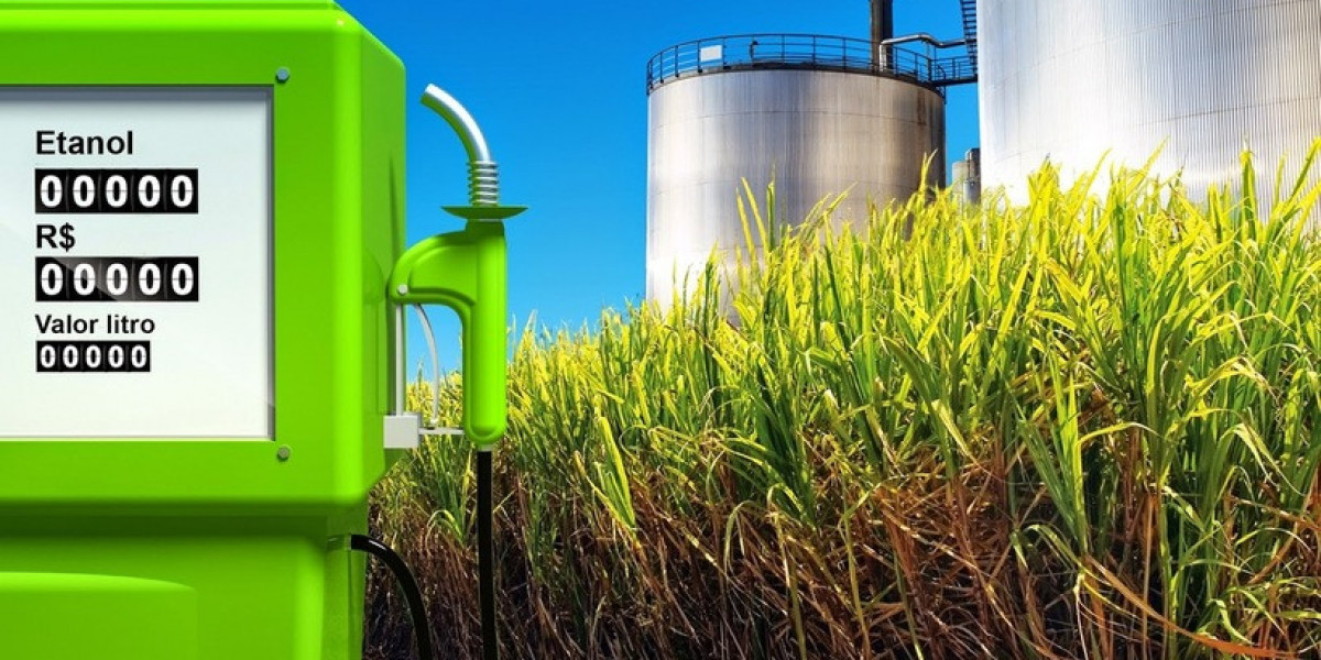 Biofuels Market Landscape: Key Drivers, Opportunities, and Challenges Shaping the Renewable Energy Sector