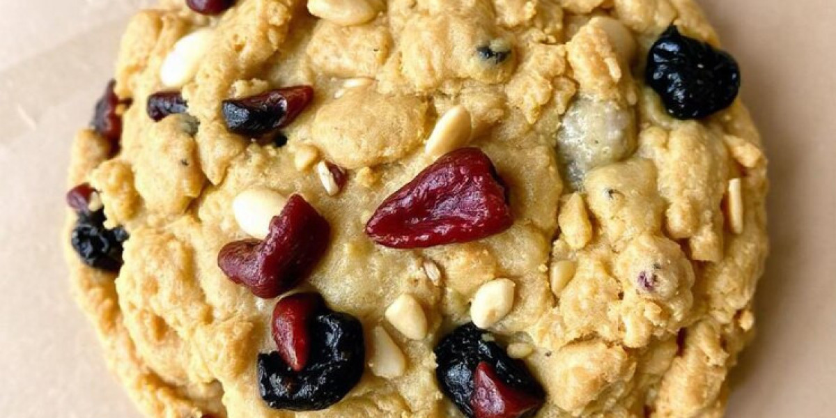 Vegan Cookies Market Experiences Major Disruption Through Innovation and Consumer Demand Shifts