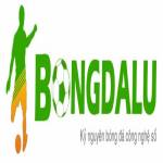 bongdaluvip net Profile Picture