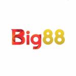 Big88 bar profile picture