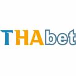thabetcomdev Profile Picture