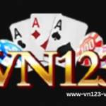 VN123web Profile Picture