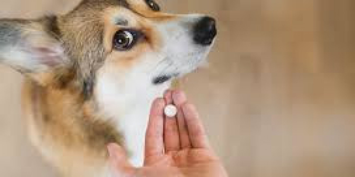 Companion Animals Drug Market: Innovations Driving New Horizons in Veterinary Healthcare and Treatment Solutions