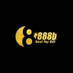888 B Profile Picture