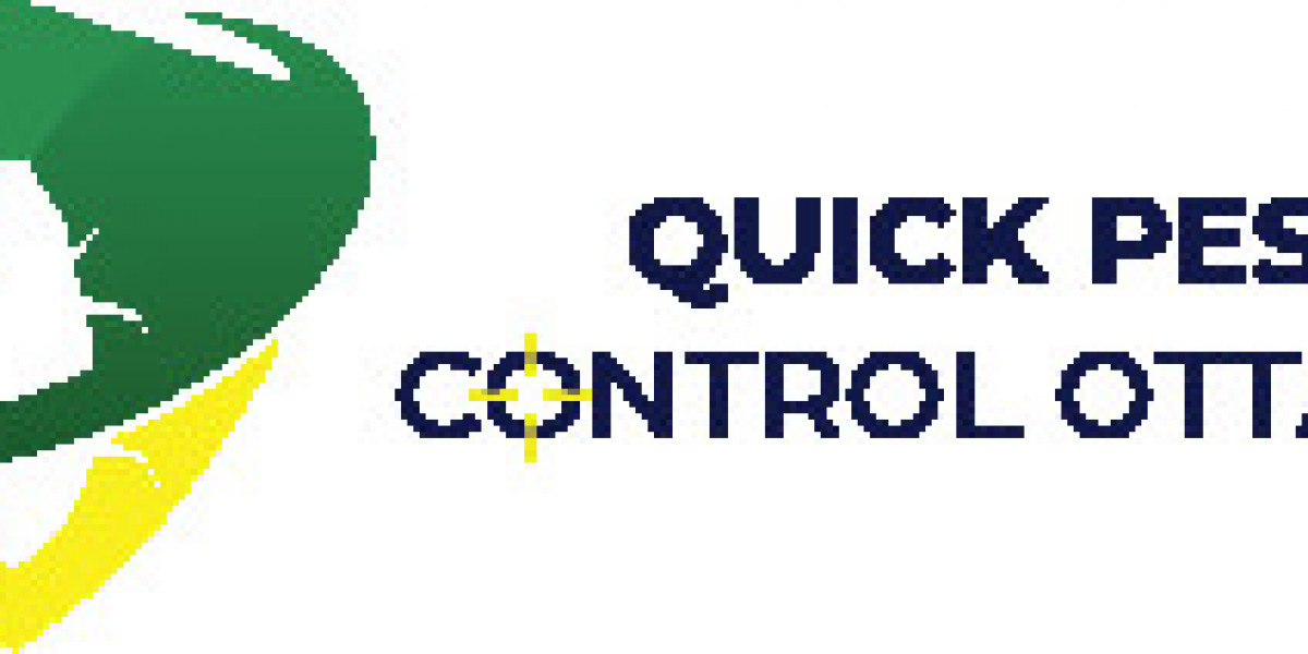 Mouse Pest Control Ottawa: Keep Your Home Rodent-Free with Expert Solutions