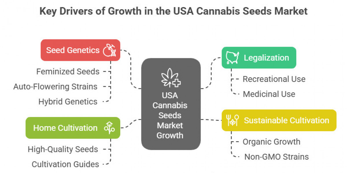 Cultivating Opportunity: Trends Shaping the USA Cannabis Seeds Market