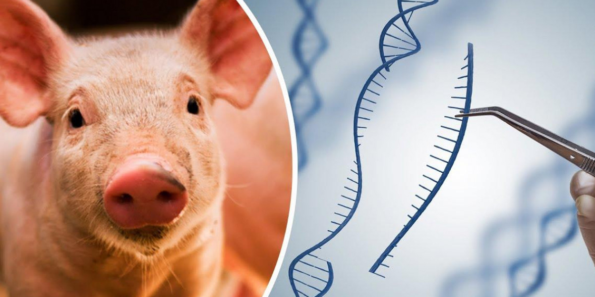 Animal Genetics Market Expansion Encouraged by Demand for Disease-Free and High-Yielding Breeds