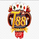 t88 diy Profile Picture