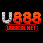 u88838net Profile Picture