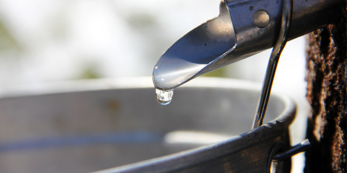 Maple Water Market Long-Term Outlook: Growth Drivers, Global Expansion, and Sustainability