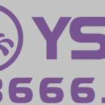 ysb666n1 Profile Picture