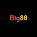 BIG88 Profile Picture