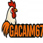 GACAM67 Profile Picture