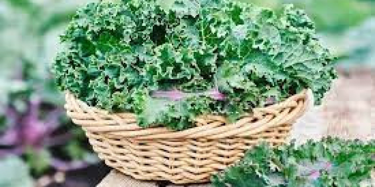 Lutein Market Innovation Accelerates as Manufacturers Develop More Bioavailable and Effective Lutein Products