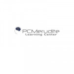PC Merudite Profile Picture