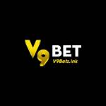 v9betzink Profile Picture