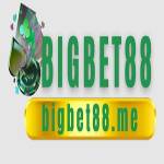 bigbet88me1 Profile Picture
