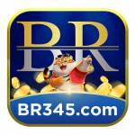 BR345 profile picture