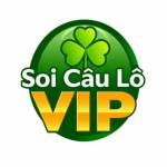 Soi Cầu Lô Vip Profile Picture