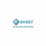 shbetffleet Profile Picture