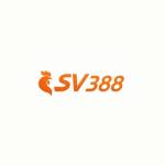 SV388 88 Profile Picture
