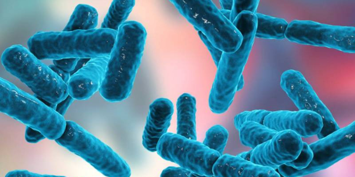 Animal Probiotics Market Expansion Driven by Climate-Resilient Farming and Improved Animal Digestion Efficiency