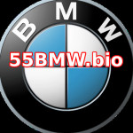 55bmwbio Profile Picture
