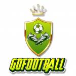 Trang Cá Độ Bóng Đá Gofootballtogo.com profile picture