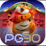 pg30us Profile Picture
