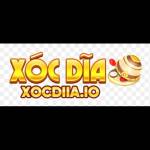 xocdiiaio Profile Picture