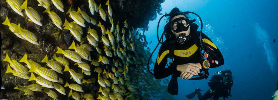 Petro Divers Cover Image
