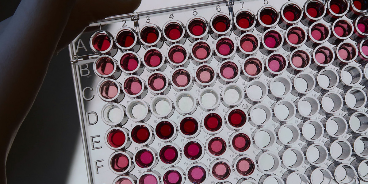 Colorimetric Indicator Label Market forecast predicts expansion in emerging markets with growing packaging needs