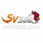 sv388n1com Profile Picture