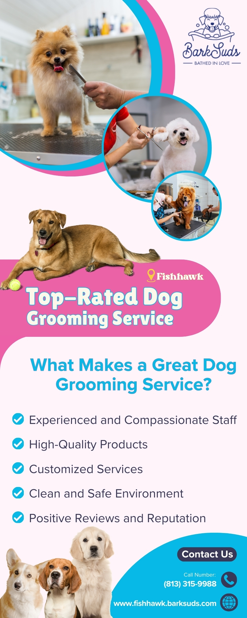 Top-Rated Dog Grooming Service in Fishhawk – Fishhawk BarkSuds