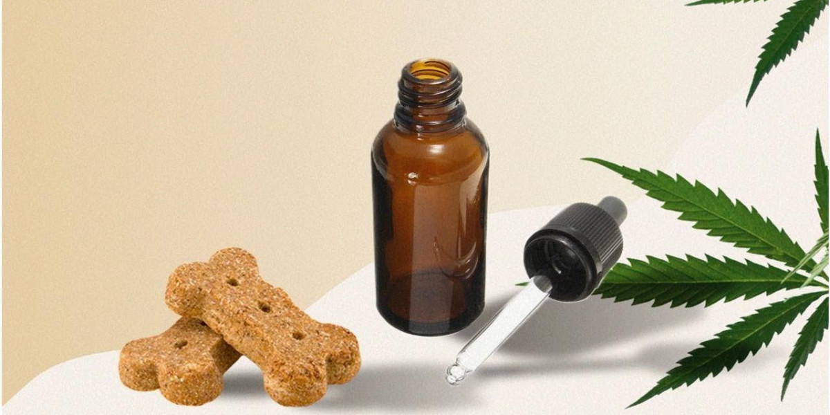 CBD Oil Market Benefits From Shifting Consumer Behavior and Expanding Online Retail Opportunities