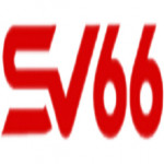 Sv 66 Profile Picture