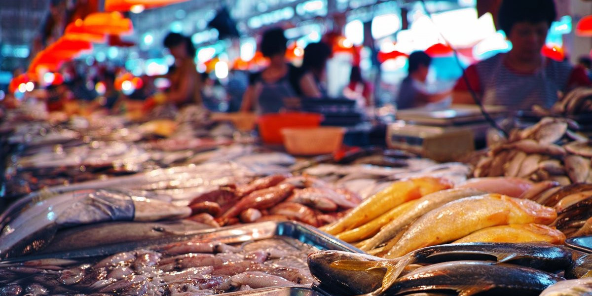 Aquaculture Market Overview: Trends, Growth Drivers, Challenges, and Future Opportunities in Seafood Farming