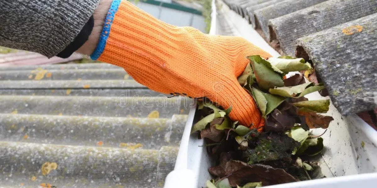 Gutter Cleaning Melbourne: Why It’s Essential for Your Home’s Health
