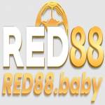 RED88 profile picture