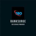 Rank Surge profile picture