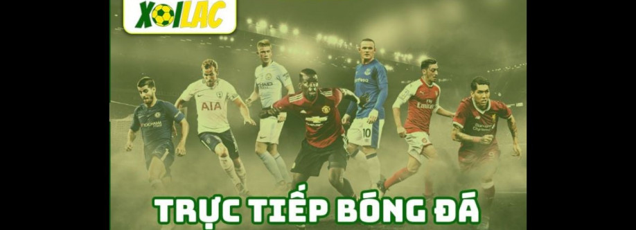 pavestepcom lừa đảo Cover Image